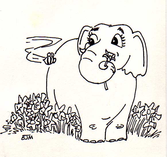 beeelephant.jpg